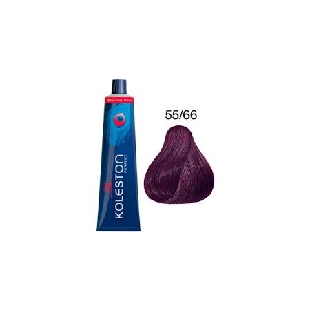 TINTE KOLESTON 55/66