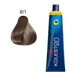 TINTE KOLESTON 6/1