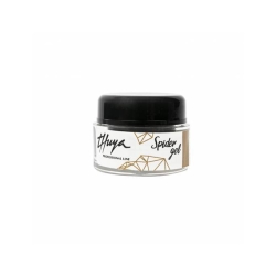 SPIDER GEL GOLD 5 GR THUYA