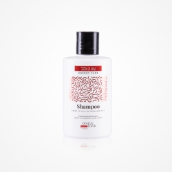 ENERGY CARE CHAMPU 300 ML
