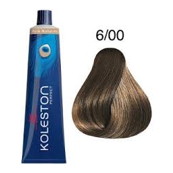 TINTE KOLESTON 6/00