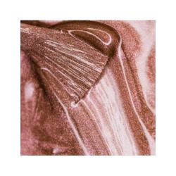 GEL ON OFF THUYA 14 ML SHINY BROWN