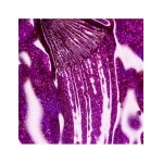 GEL ON OFF THUYA 14 ML HYPNOTIC